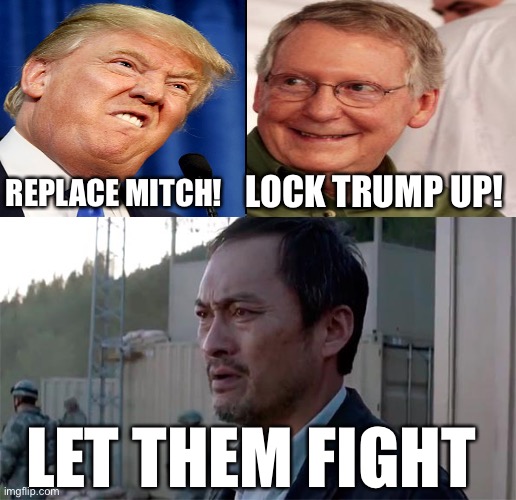 Trumpzilla vs. Mitchkong | LOCK TRUMP UP! REPLACE MITCH! LET THEM FIGHT | image tagged in ken watenabe let them fight,trump,mitch mcconnell,king kong,vs,godzilla | made w/ Imgflip meme maker