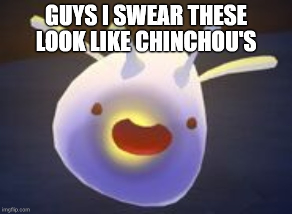 GUYS I SWEAR THESE LOOK LIKE CHINCHOU'S | made w/ Imgflip meme maker