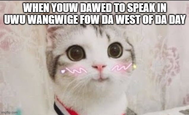 Dawe go bwwwww | WHEN YOUW DAWED TO SPEAK IN UWU WANGWIGE FOW DA WEST OF DA DAY | image tagged in cute cat uwu | made w/ Imgflip meme maker