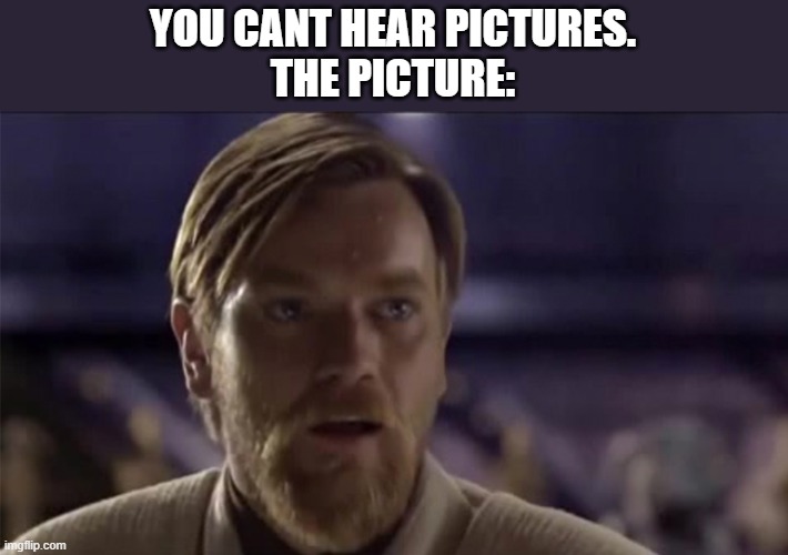 YOU CANT HEAR PICTURES.
THE PICTURE: | made w/ Imgflip meme maker