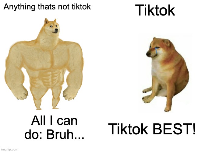 Tiktok sucks |  Anything thats not tiktok; Tiktok; All I can do: Bruh... Tiktok BEST! | image tagged in memes,buff doge vs cheems | made w/ Imgflip meme maker