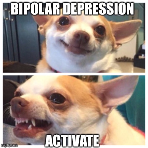 chihuahua bipolar | BIPOLAR DEPRESSION; ACTIVATE | image tagged in chihuahua bipolar | made w/ Imgflip meme maker