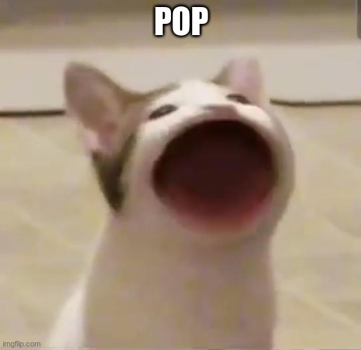 Pop Cat | POP | image tagged in pop cat | made w/ Imgflip meme maker