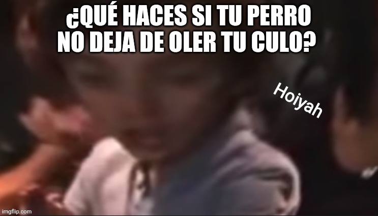 Hoiyah | ¿QUÉ HACES SI TU PERRO NO DEJA DE OLER TU CULO? | image tagged in hoiyah | made w/ Imgflip meme maker