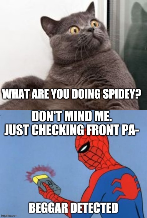 I'm 90% certain that a meme around this one is begging for upvotes. | WHAT ARE YOU DOING SPIDEY? DON'T MIND ME. JUST CHECKING FRONT PA- | image tagged in the moment when you realise exams are in a month,upvote beggar detected | made w/ Imgflip meme maker