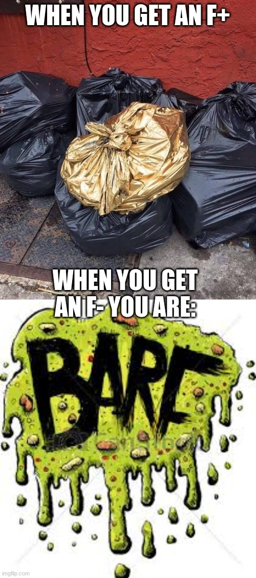 WHEN YOU GET AN F+; WHEN YOU GET AN F- YOU ARE: | image tagged in gold trash | made w/ Imgflip meme maker