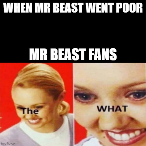 The What | WHEN MR BEAST WENT POOR; MR BEAST FANS | image tagged in the what | made w/ Imgflip meme maker