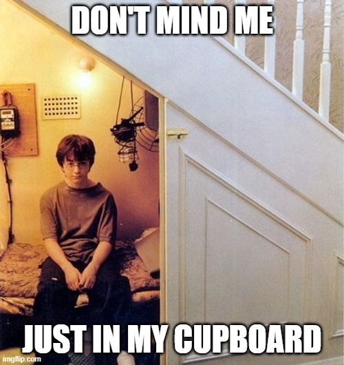 Harry Potter and the cupboard under the stairs | DON'T MIND ME; JUST IN MY CUPBOARD | image tagged in harry potter unde rthe stairs | made w/ Imgflip meme maker