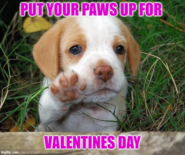 dog puppy bye | PUT YOUR PAWS UP FOR; VALENTINES DAY | image tagged in dog puppy bye | made w/ Imgflip meme maker