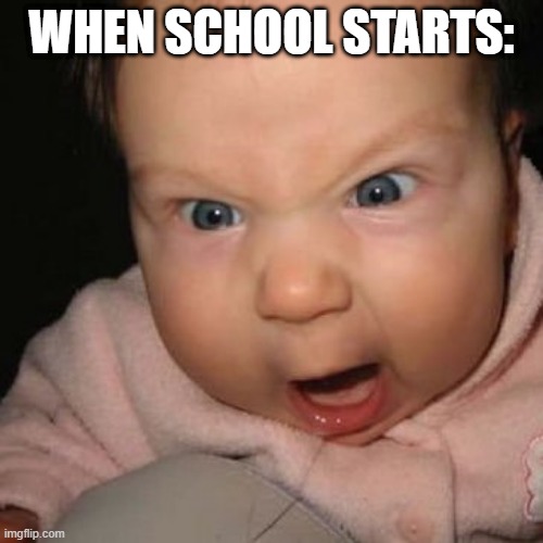 school | WHEN SCHOOL STARTS: | image tagged in school | made w/ Imgflip meme maker
