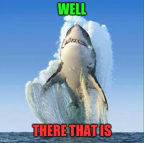 Great White Shark |  WELL; THERE THAT IS | image tagged in great white shark | made w/ Imgflip meme maker