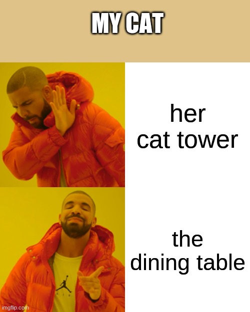 Drake Hotline Bling | MY CAT; her cat tower; the dining table | image tagged in memes,drake hotline bling | made w/ Imgflip meme maker