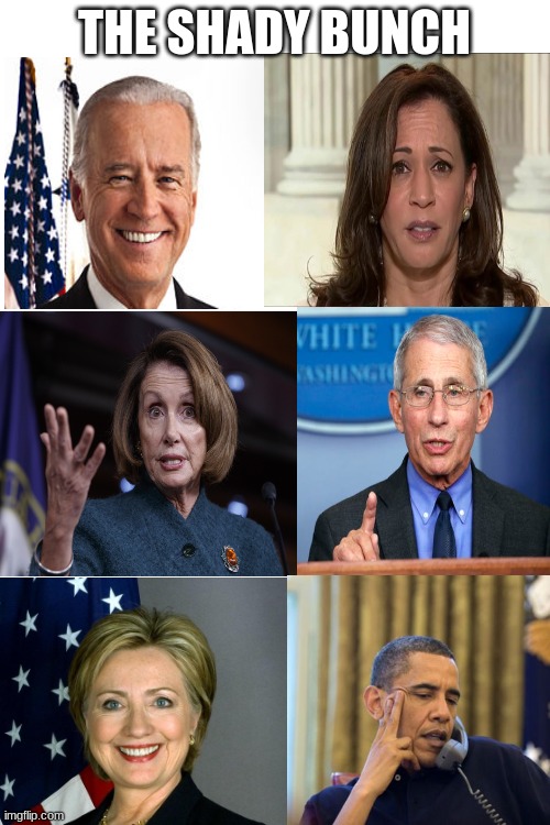 THE SHADY BUNCH | image tagged in blank white template | made w/ Imgflip meme maker