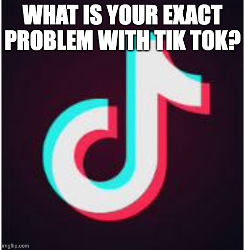 Tik Tok | WHAT IS YOUR EXACT PROBLEM WITH TIK TOK? | image tagged in tik tok | made w/ Imgflip meme maker