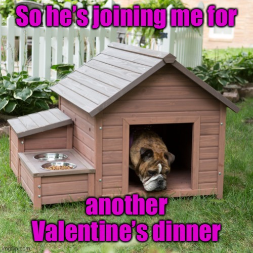 Dog House | So he’s joining me for another Valentine’s dinner | image tagged in dog house | made w/ Imgflip meme maker