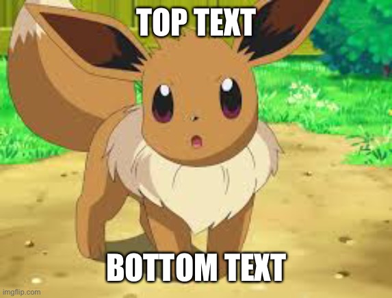 Eevee | TOP TEXT; BOTTOM TEXT | image tagged in eevee | made w/ Imgflip meme maker