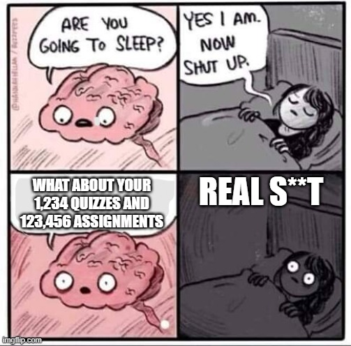 Are you going to sleep? | REAL S**T; WHAT ABOUT YOUR 1,234 QUIZZES AND 123,456 ASSIGNMENTS | image tagged in are you going to sleep | made w/ Imgflip meme maker