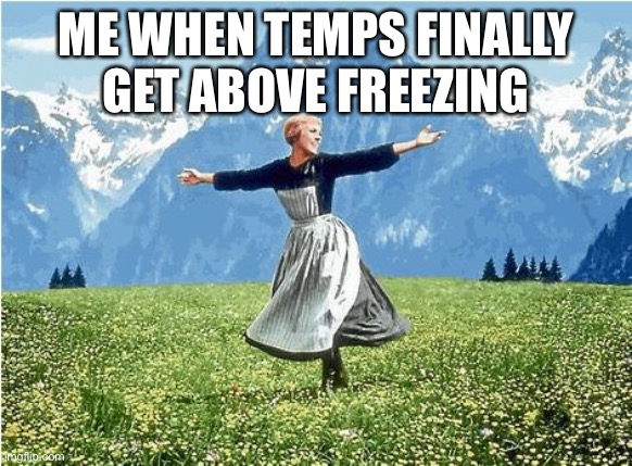 Above Freezing | ME WHEN TEMPS FINALLY  GET ABOVE FREEZING | image tagged in sound of music,cold weather | made w/ Imgflip meme maker