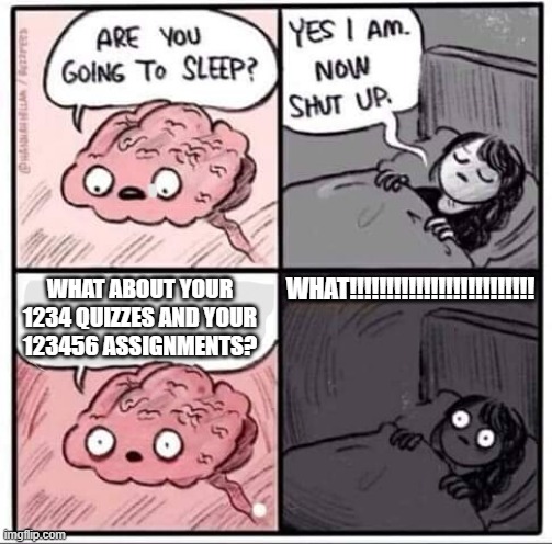 Are you going to sleep? | WHAT!!!!!!!!!!!!!!!!!!!!!!!!! WHAT ABOUT YOUR 1234 QUIZZES AND YOUR 123456 ASSIGNMENTS? | image tagged in are you going to sleep | made w/ Imgflip meme maker