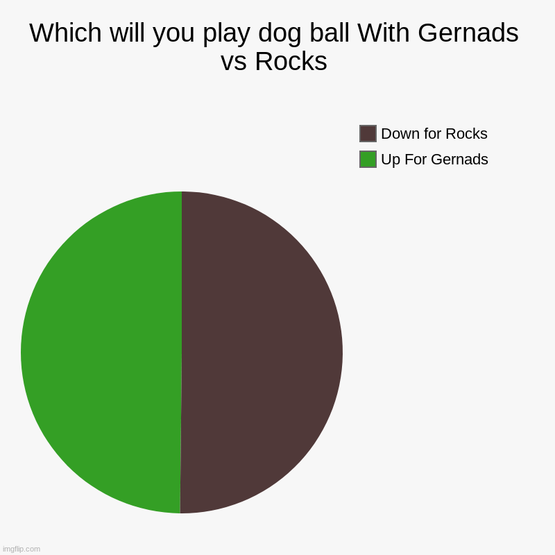 Which will you play dog ball With Gernads vs Rocks | Which will you play dog ball With Gernads vs Rocks | Up For Gernads, Down for Rocks | image tagged in charts,pie charts | made w/ Imgflip chart maker