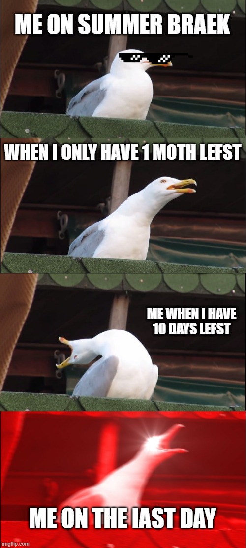 shool days | ME ON SUMMER BRAEK; WHEN I ONLY HAVE 1 MOTH LEFST; ME WHEN I HAVE 10 DAYS LEFST; ME ON THE IAST DAY | image tagged in memes,inhaling seagull | made w/ Imgflip meme maker