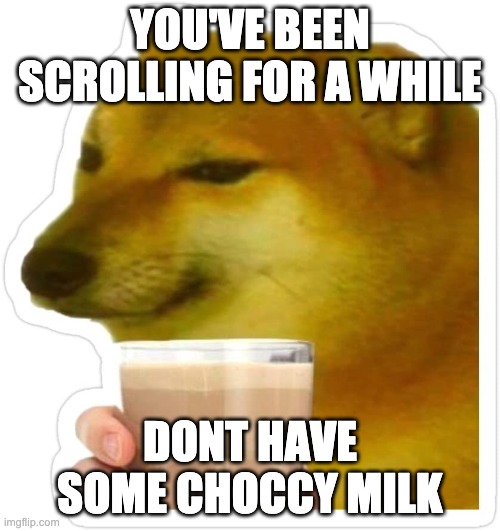 no choccy milk | YOU'VE BEEN SCROLLING FOR A WHILE; DONT HAVE SOME CHOCCY MILK | image tagged in choccy milk,doge | made w/ Imgflip meme maker