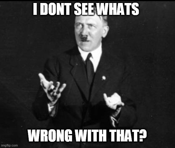 I Don’t See What’s Wrong With That Hitler | I DONT SEE WHATS WRONG WITH THAT? | image tagged in i don t see what s wrong with that hitler | made w/ Imgflip meme maker
