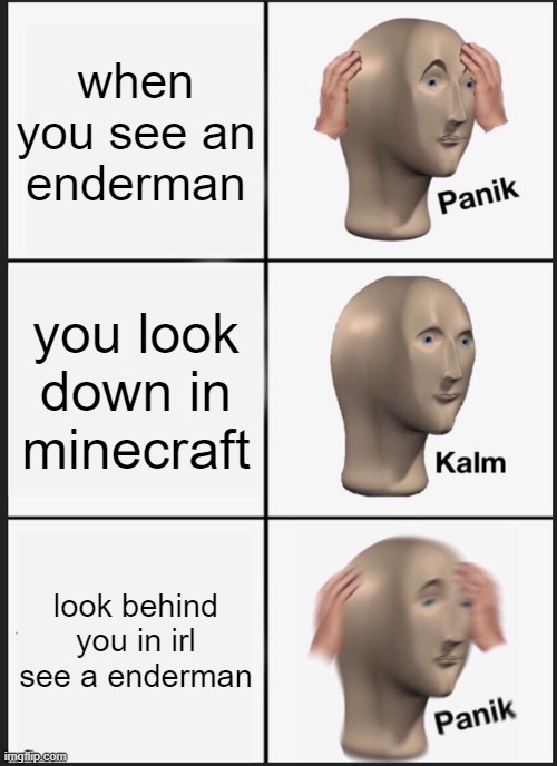 I bet this has happend in irl before | when you see an enderman; you look down in minecraft; look behind you in irl see a enderman | image tagged in memes,panik kalm panik | made w/ Imgflip meme maker