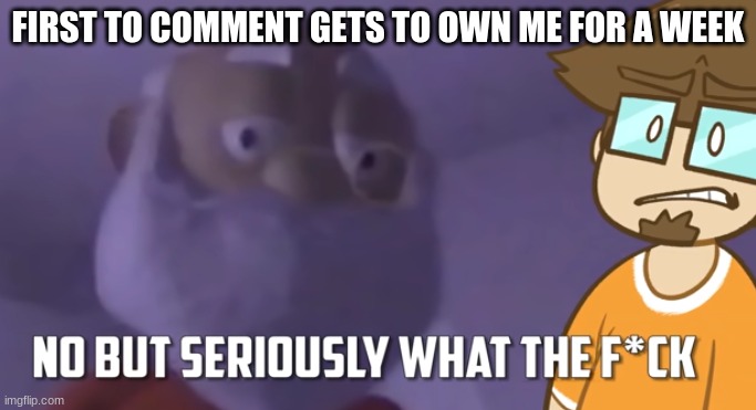 wtf saberspark | FIRST TO COMMENT GETS TO OWN ME FOR A WEEK | image tagged in wtf saberspark,memes | made w/ Imgflip meme maker