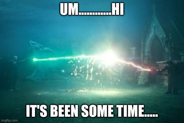 Well... i rly don't know what to say here. | UM............HI; IT'S BEEN SOME TIME..... | image tagged in harry potter voldemort duel | made w/ Imgflip meme maker
