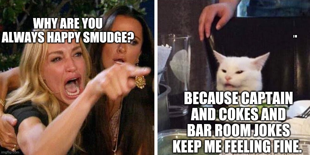 Smudge the cat | WHY ARE YOU ALWAYS HAPPY SMUDGE? J M; BECAUSE CAPTAIN AND COKES AND BAR ROOM JOKES KEEP ME FEELING FINE. | image tagged in smudge the cat | made w/ Imgflip meme maker