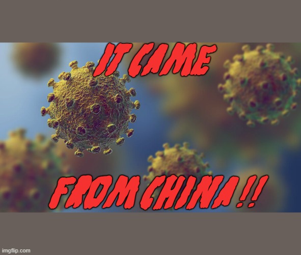 It Came From China!! | IT CAME; FROM CHINA !! | image tagged in covid,china,chinese,virus,coronavirus,trump | made w/ Imgflip meme maker