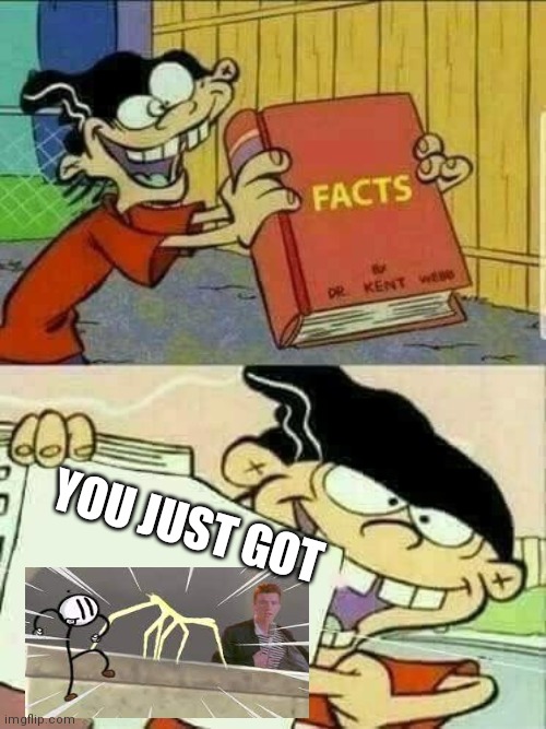 Double d facts book  | YOU JUST GOT | image tagged in double d facts book | made w/ Imgflip meme maker