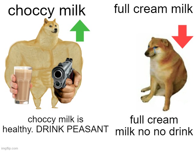 drink healthy | choccy milk; full cream milk; choccy milk is healthy. DRINK PEASANT; full cream milk no no drink | image tagged in memes,buff doge vs cheems | made w/ Imgflip meme maker