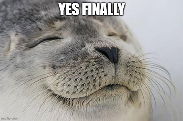 Satisfied Seal Meme | YES FINALLY | image tagged in memes,satisfied seal | made w/ Imgflip meme maker