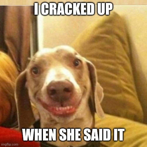 big smile doggie | I CRACKED UP WHEN SHE SAID IT | image tagged in big smile doggie | made w/ Imgflip meme maker