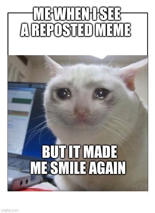 I feel bad when I upvoting reposted meme but ones that make me smile tempt me | ME WHEN I SEE A REPOSTED MEME; BUT IT MADE ME SMILE AGAIN | image tagged in crying cat | made w/ Imgflip meme maker