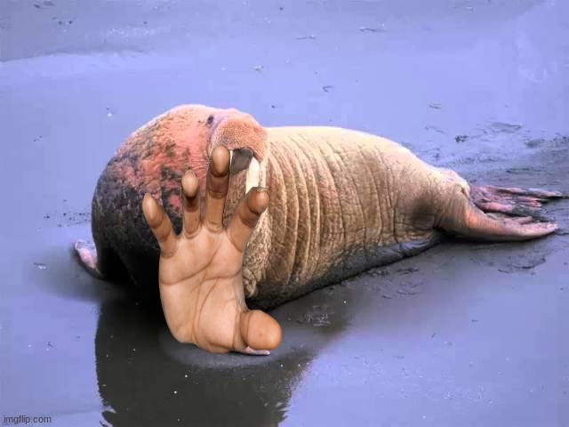 Walrus punk | image tagged in walrus punk | made w/ Imgflip meme maker