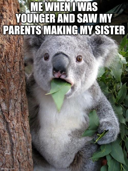 Surprised Koala Meme | ME WHEN I WAS YOUNGER AND SAW MY PARENTS MAKING MY SISTER | image tagged in memes,surprised koala | made w/ Imgflip meme maker
