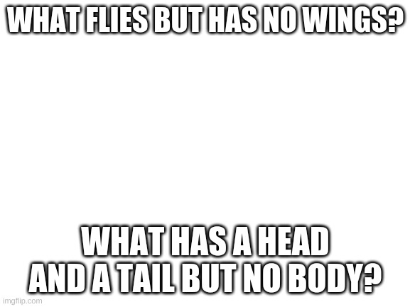 two extremely easy riddles. | WHAT FLIES BUT HAS NO WINGS? WHAT HAS A HEAD AND A TAIL BUT NO BODY? | image tagged in blank white template | made w/ Imgflip meme maker