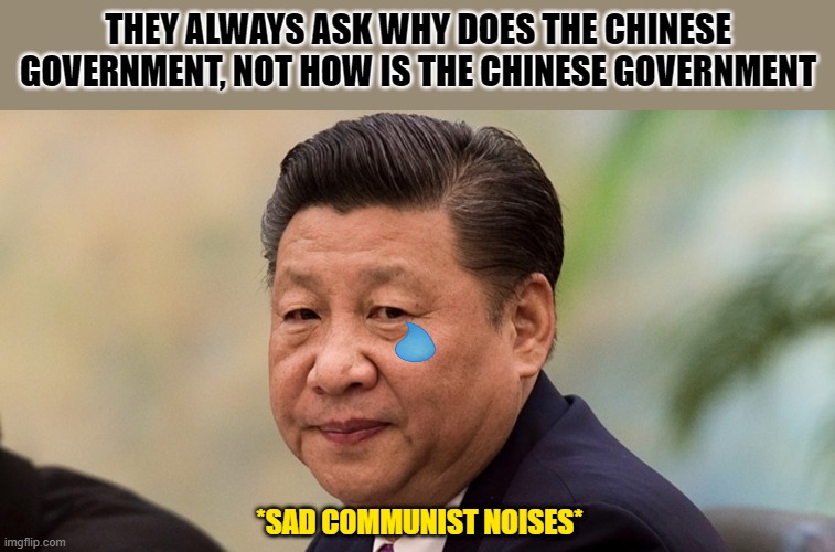 sad Chinese government | THEY ALWAYS ASK WHY DOES THE CHINESE GOVERNMENT, NOT HOW IS THE CHINESE GOVERNMENT; *SAD COMMUNIST NOISES* | image tagged in funny | made w/ Imgflip meme maker
