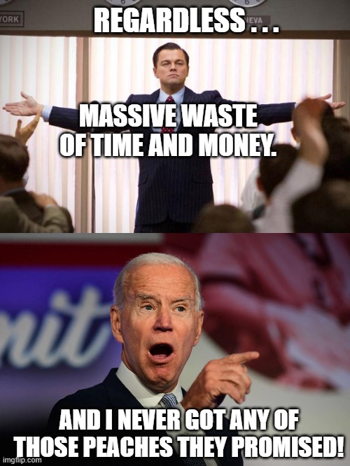 REGARDLESS . . . MASSIVE WASTE OF TIME AND MONEY. AND I NEVER GOT ANY OF THOSE PEACHES THEY PROMISED! | image tagged in wolf of wallstreet,angry joe biden pointing | made w/ Imgflip meme maker