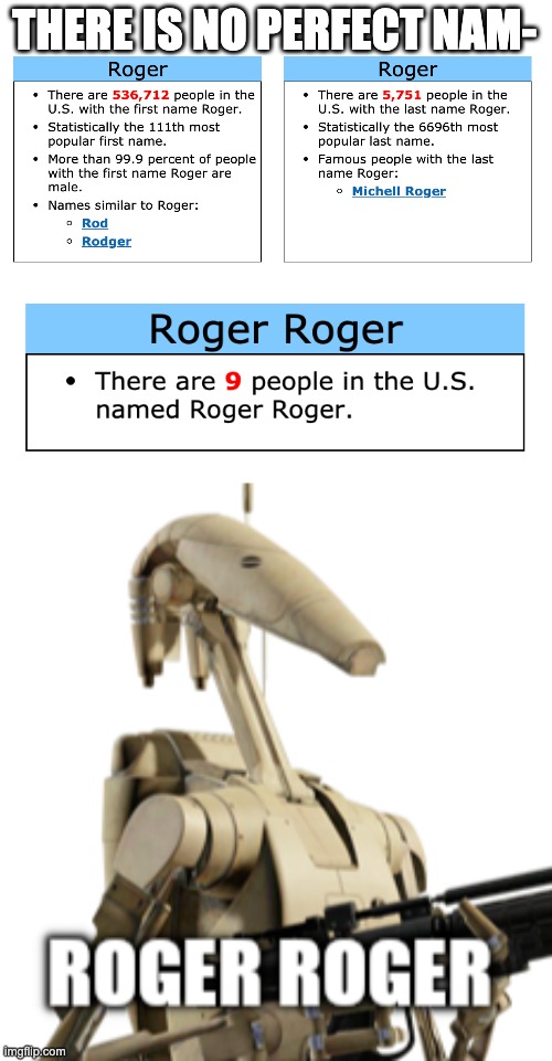 Roger Roger | THERE IS NO PERFECT NAM- | image tagged in white,roger roger | made w/ Imgflip meme maker