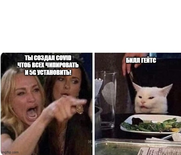 Ladies Yelling at Confused Cat | БИЛЛ ГЕЙТС; ТЫ СОЗДАЛ COVID ЧТОБ ВСЕХ ЧИПИРОВАТЬ И 5G УСТАНОВИТЬ! | image tagged in ladies yelling at confused cat | made w/ Imgflip meme maker