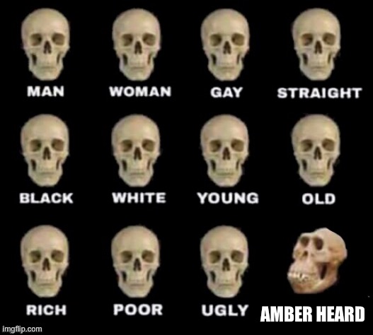 idiot skull | AMBER HEARD | image tagged in idiot skull,amber heard,funny memes,dank memes,memes | made w/ Imgflip meme maker
