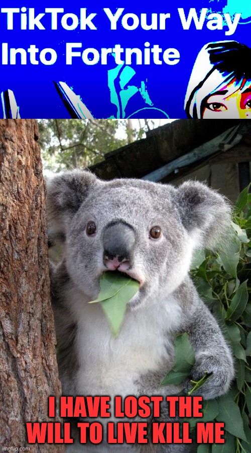 Surprised Koala | I HAVE LOST THE WILL TO LIVE KILL ME | image tagged in memes,surprised koala | made w/ Imgflip meme maker
