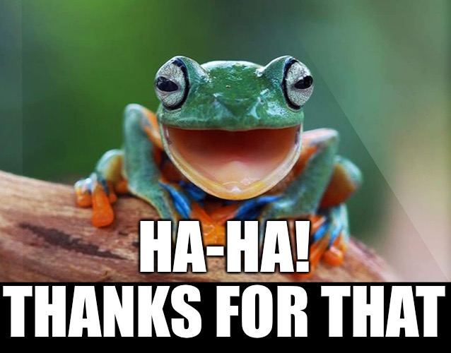 HA-HA! THANKS FOR THAT | made w/ Imgflip meme maker
