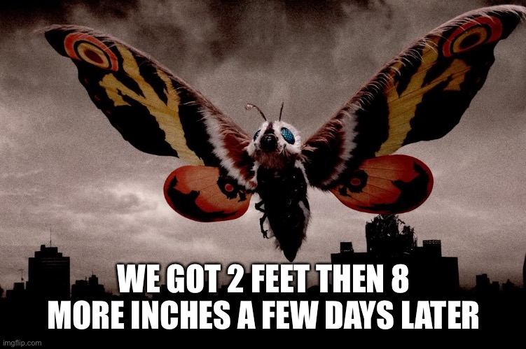 Mothra | WE GOT 2 FEET THEN 8 MORE INCHES A FEW DAYS LATER | image tagged in mothra | made w/ Imgflip meme maker