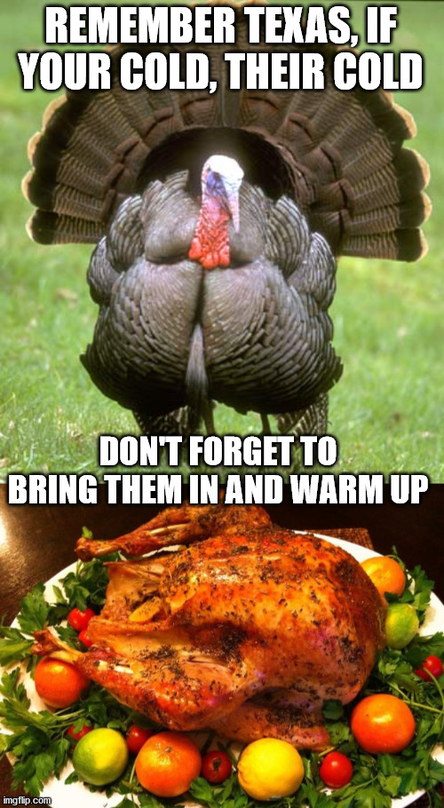 Get some nice warm butter on it. | REMEMBER TEXAS, IF YOUR COLD, THEIR COLD; DON'T FORGET TO BRING THEM IN AND WARM UP | image tagged in memes,turkey,roasted turkey,texas,blizzard | made w/ Imgflip meme maker