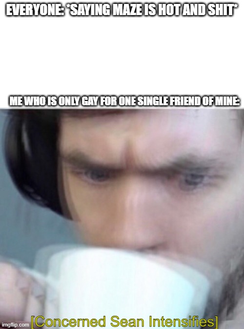 im concerned for yall, ngl | EVERYONE: *SAYING MAZE IS HOT AND SHIT*; ME WHO IS ONLY GAY FOR ONE SINGLE FRIEND OF MINE:; [Concerned Sean Intensifies] | image tagged in concerned sean intensifies | made w/ Imgflip meme maker